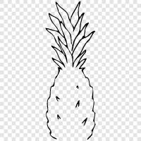 fresh pineapple, canned pineapple, pineapple juice, pineapple upside down cake icon svg