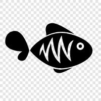 fresh water fish, salt water fish, fishing, fishing tackle icon svg