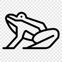 Kurbağa Bacakları, Frog Bacakları Dansı, Frog Bacakları Dans Adımları, Frog Bacakları Egzersizi ikon svg