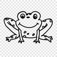 Frogs, Amphibians, Reptiles, Amphib icon svg