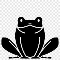 Frogs, Amphibians, New Zealand, ecology icon svg