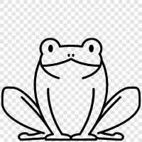 Frogs, Amphibians, Reptiles, Newts icon svg