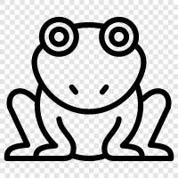 Frogs, Amphibians, Jumping, Bouncing icon svg