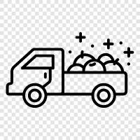 fruit delivery, fruit delivery near me, local fruit delivery, fresh fruit delivery icon svg