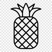 fruit, tropical, healthy, sweet icon svg