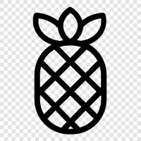 fruit, tropical, sweet, delicious icon svg