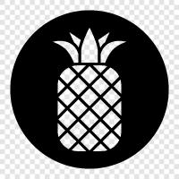 fruit, sweet, tropical, delicious icon svg