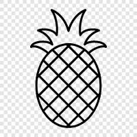 fruit, tropical, sweet, delicious icon svg