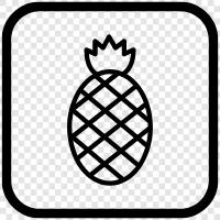 fruit, tropical, sweet, healthy icon svg