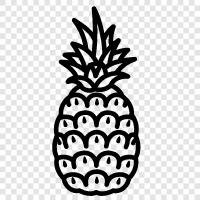 fruit, tropical, delicious, sweet icon svg