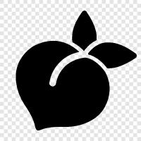 fruit, sweet, juicy, delicious icon svg