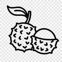 fruit, Asian, delicious, sweet icon svg