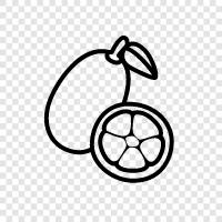 fruit, citrus, tart, sweet icon svg