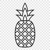 fruit, tropical, delicious, healthy icon svg