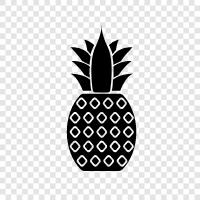 fruit, tropical, delicious, nutritious icon svg