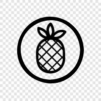 fruit, tropical, Hawaii, Samoa icon svg