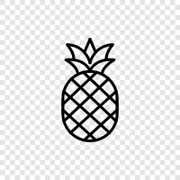 fruit, tropical, sweetness, flavor icon svg