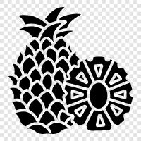 fruit, tropical, sweet, delicious icon svg