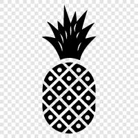 fruit, tropical, sweet, delicious icon svg