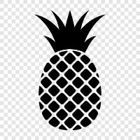 fruit, tropical, sweet, delicious icon svg