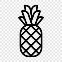 fruit, tropical, sweet, healthy icon svg