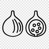 fruit, dried, figs, dried fruit icon svg