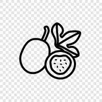 fruit, flavor, healthy, vitamin C icon svg