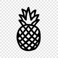 fruit, sweet, delicious, healthy icon svg