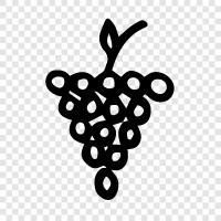 fruit, fruits icon svg