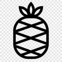 Obst, tropisch, Hawaii, exotisch symbol