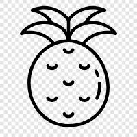 fruit, tropical, delicious, sweet icon svg