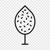 fruit, cone, bark, leaves icon svg