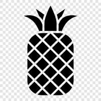 Fruits, Fresh, Tropical, Hawaiian icon svg