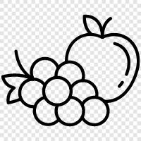 fruits icon svg