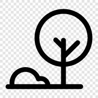 Fruits, Leaves, Branches, Roots icon svg