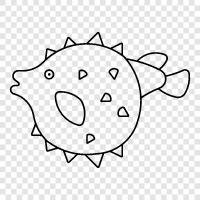 fugu zehirlenmesi, fugu zehirlenmesi belirtileri, fugu yeme, fugu ikon svg