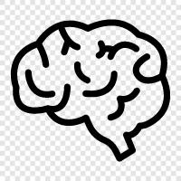 functioning, how it works, functions, how the brain works icon svg