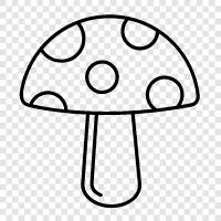 fungi, edible, wild, cultivated icon svg