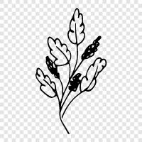 Fungus, Weed, Garden, Gardening icon svg