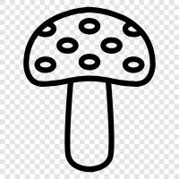 fungus, edible, medicinal, psychoactive icon svg