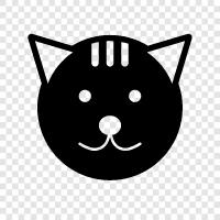 funny, cute, purr, pet icon svg