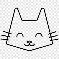 Funny Cat, Cute Cat, Funny Pictures of Cats, Cat Pictures icon svg