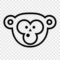 funny monkey, cute monkey, funny monkey pictures, funny monkey videos icon svg