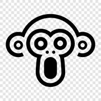 funny monkey, monkey face pictures, monkey face images, funny monkey pictures icon svg