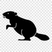 kürk, palto, fursona, rodent ikon svg