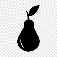 Fuyu, Pears, Bartlett, Bosc icon svg