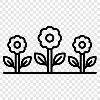 Garden design, Garden plants, Garden tools, Garden decor icon svg