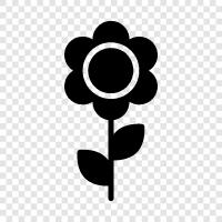 Garden, Gardening, Plant, Bloom icon svg