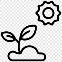 garden, grow, seeds, vegetables icon svg