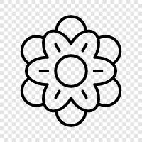 garden, blossom, petal, stem icon svg